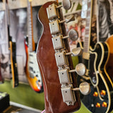Tokai Breezysound TEH-60 ~ 1982