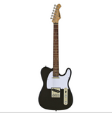ARIA PRO II - TEG ~ NEW!