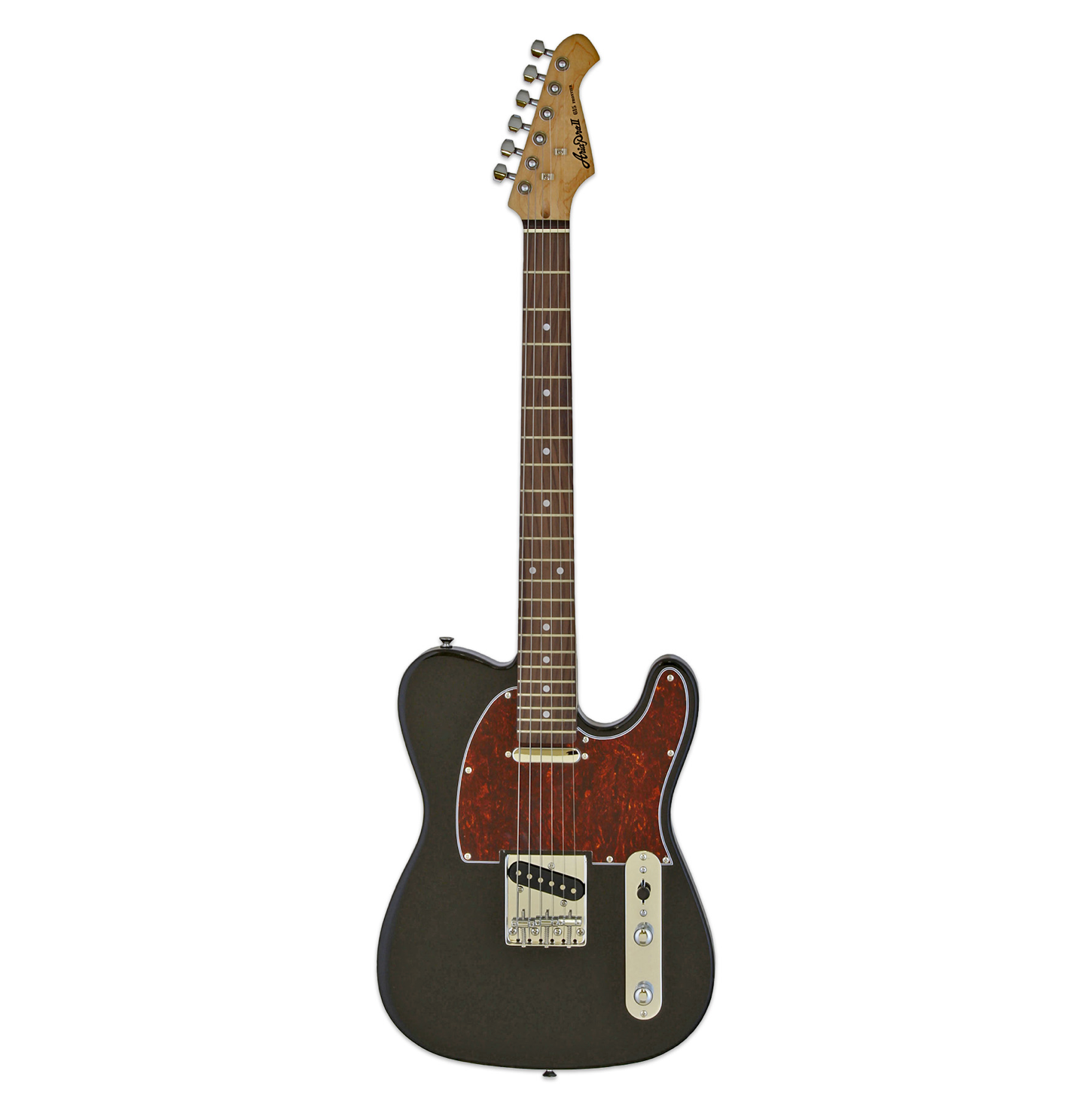 PE-R100 - Aria Guitars - Electric, Acoustic, Classical