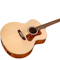 Guild ~ Jumbo Solid Top Archback Acoustic ~ F-240E ~ NEW!